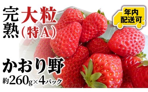 【12/17までの申込で年内にお届け！】 完熟 かおり野 約260g×4パック 年内お届け 国産 いちご イチゴ 苺 [BC082sa]