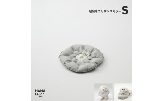 ＜ハナロロ＞エリザベスカラー S(アッシュグレー)【1645425】 2232823 - 愛知県岡崎市