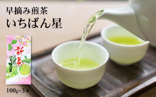 [新茶特急便]早摘み煎茶いちばん星(100g入×3本)[煎茶 お茶 茶 緑茶 新茶 茶葉 早摘み]