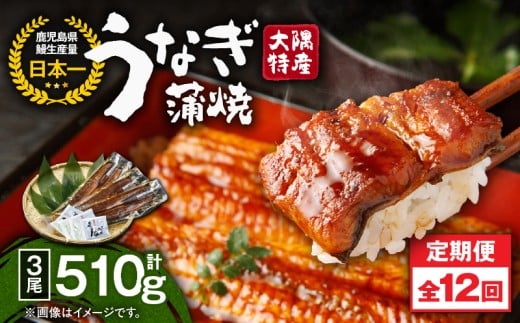 2484 【定期12回】大隅特産うなぎ蒲焼3尾（510g）【国産】　KN060-T08