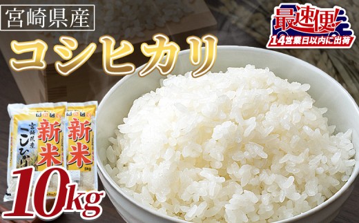 ＜令和7年度産新米　宮崎県産コシヒカリ　10kg＞14営業日以内に順次出荷【 国産 米 お米 最速便 白米 精米 こしひかり ごはん ご飯 白飯 食品 】