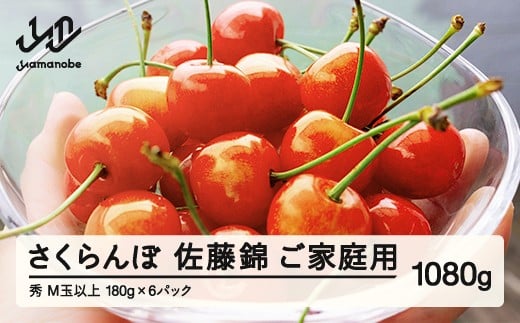 【ふるさと納税】【先行予約】 ご家庭用 さくらんぼ 佐藤錦 秀品 M玉以上 約1080g 令和8年産 2026年産 山形県産 フルーツ 果物 tf-snpsm1080 2017101 - 山形県山辺町