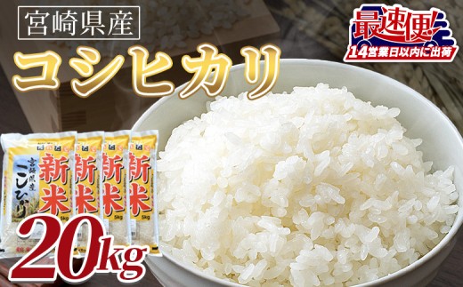 ＜令和7年度産新米　宮崎県産コシヒカリ　20kg＞14営業日以内に順次出荷【 国産 米 お米 最速便 白米 精米 こしひかり ごはん ご飯 白飯 食品 】