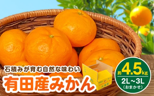 和歌山県有田産 みかん 4.5kg 3L〜2Lサイズ(おまかせ)