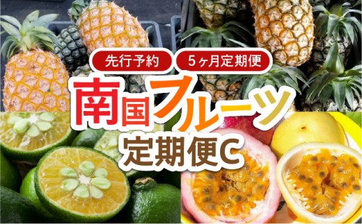 2025年 先行予約 定期便 5ヶ月 南国フルーツ 定期便C パイン シークワーサー パッションフルーツ 計4種類 果物 フルーツ 5回 お楽しみ