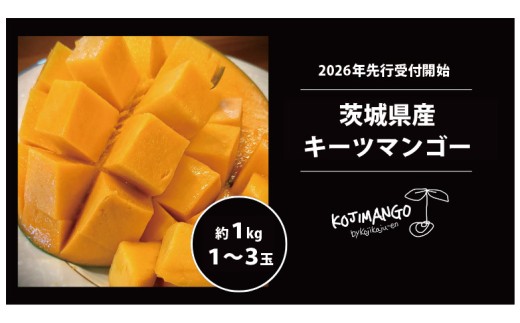 [ 先行予約 2026年9月中旬順次発送] 完熟マンゴー 約1kg ( 1〜3玉 ) キーツ マンゴー 茨城県 八千代町 [CX006ya]