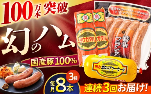 【3回定期便】明方ハム詰め合わせ Bセット / 明方 ハム 厚切り ボロニアソーセージ ハムステーキ 朝食 フランクフルト ウインナー BBQ ソーセージ フランク 箱入り ギフト / 御嵩町 / めぐみの農業協同組合 [AVBA006] 2232965 - 岐阜県御嵩町
