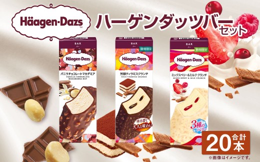 ハーゲンダッツバー 20本セット 【えひめの町(超)推し!(松前町)】(719-1)
