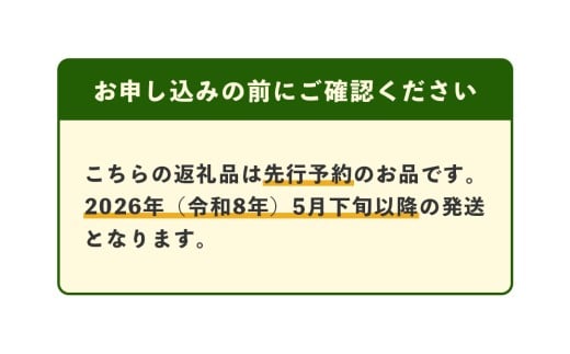 肥後グリーン メロン 計4玉 (2玉入り×2箱)