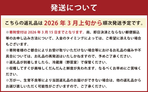 【2026年3月上旬発送開始】熊本県宇城市不知火町海沿いの段々畑で作った「オレンジ（のむちゃん1号） 」約3kg（12-18玉）