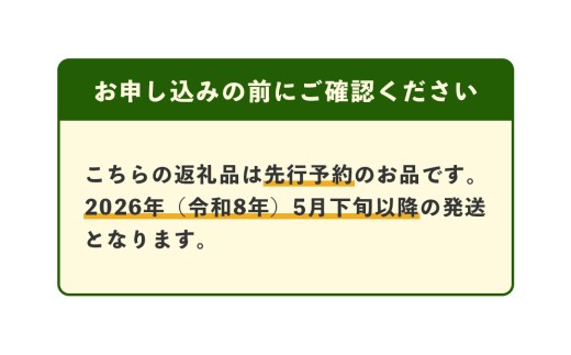 肥後グリーン メロン 大玉 2玉(合計4kg)