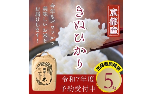 [№5334-0656]令和7年産新米 キヌヒカリ 5kg (精米) 明田のお米 2235945 - 京都府南丹市