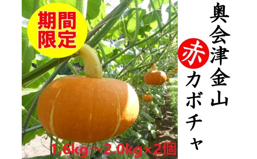 【3週間限定】【数量限定】奥会津金山赤カボチャ(２個入)