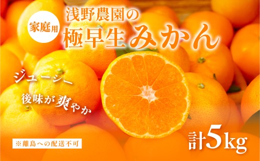 【先行予約】浅野農園の極早生みかん 家庭用5kg ※離島への配送不可（2025年10月上旬～11月中旬頃より順次発送予定） 【 ふるさと納税 人気 おすすめ ランキング 柑橘 みかん ミカン オレンジ 家庭用 フルーツ 果物 5kg くだもの 旬 愛媛県産 愛媛みかん 浅野農園 愛媛県 伊方町 送料無料 】IKTAC012