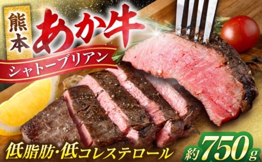 熊本 あか牛 ヒレ肉 希少部位 シャトーブリアン 約750g (約150g×5枚) [合同会社 たべたせいか] [AYCB050]