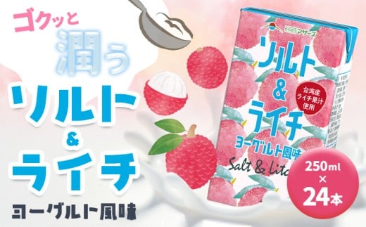 ソルト&ライチ ヨーグルト風味 250ml×24本 合同会社たべたせいか[4月上旬〜-10月上旬に発送予定]熊本県 菊池市 ヨーグルト 果汁入飲料 ライチ らくのうマザーズ ドリンク 飲み物 飲料 セット 紙パック 常温保存可能 ロングライフ 熊本県産