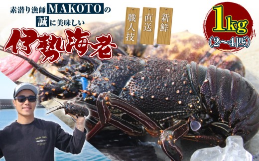 素潜り漁師MAKOTOの誠に美味しい伊勢海老 1kg(2〜4匹)