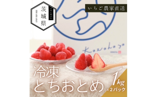 風早いちご園 とちおとめ 冷凍いちご2kg(1kg×2パック) 真空冷凍 長期保存【1647801】 2210792 - 茨城県茨城県庁