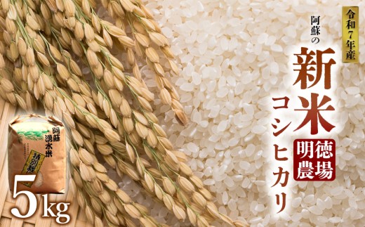 【予約】新米 コシヒカリ 令和7年産 令和7年 5kg 白米 明徳農場 減農薬 特別栽培米 米 お米 美味しい 寒暖差 湧き水 お取り寄せ 熊本県 阿蘇市