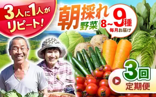 野菜定期便 【全3回定期便】諫早産野菜の詰め合わせ 8〜9品目程度 / 野菜 やさい 旬野菜 旬 新鮮 詰合せ セット たまねぎ なす トマト れんこん きのこ 大根 / 諫早市 / 肥前グローカル株式会社[AHDI001] 280789 - 長崎県諫早市
