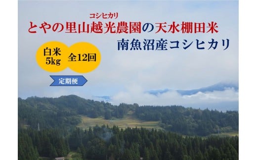 【令和7年産新米予約】【定期便】とやの里山越光農園「天水棚田米」南魚沼塩沢産コシヒカリ　精米5kgx全12回【2025年12月下旬より順次発送予定】 2212304 - 新潟県南魚沼市