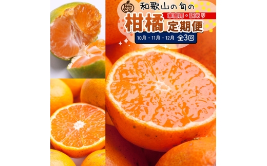 [定期便]家庭用 柑橘定期便 SS 3回(10〜12月)※北海道・沖縄・離島への配送不可※10月・11月・12月に発送