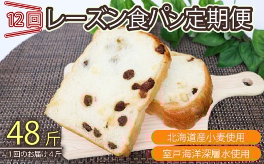 12回定期便 レーズン食パンセット【室戸海洋深層水仕込み】 4斤×12回 食パン もちもち ぱん 北海道産小麦使用 朝食 ギフト 定期便 人気 食事パン おやつ レーズン ぶどう ドライフルーツ 頒布会