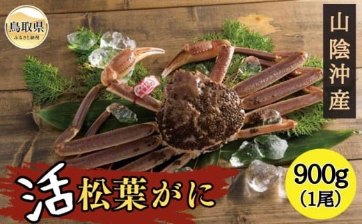 F24-123 活ずわいがに(松葉がに) 【期間･数量限定】 鳥取県 おすすめ 松葉かに ズワイガニ