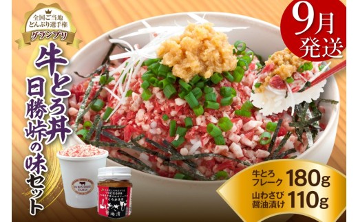【9月発送】発送月が選べる！受賞歴多数！人気の牛とろ丼日勝峠の味セット 180g_S006-0025