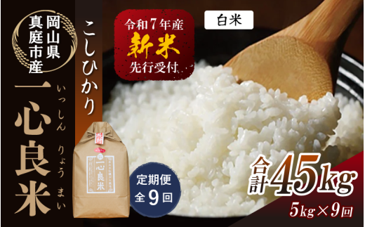  【令和7年産先行予約】＜定期便全９回＞ 真庭市産コシヒカリ 米ぬか 牡蠣栽培米 『 一心良米 』 白米 ５kg×９回（定期便） / お米 いっしんりょうまい 岡山県 真庭市 白米 米 コシヒカリ こしひかり 人気 ブランド米 新米 先行予約 定期便 令和7年産 2025年産