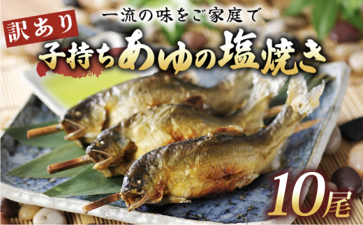訳あり 子持ち あゆの塩焼き 10尾 あゆ 鮎 アユ 塩焼き 鮎の塩焼き アユの塩焼き 鮎塩焼き アユ塩焼き あゆ塩焼き 焼魚 子持ち 子持ち鮎 子持ちあゆ 塩焼き 便利 簡易 簡単  簡単調理 魚 焼き魚 琵琶湖 国産 川魚 魚介 彦根 滋賀