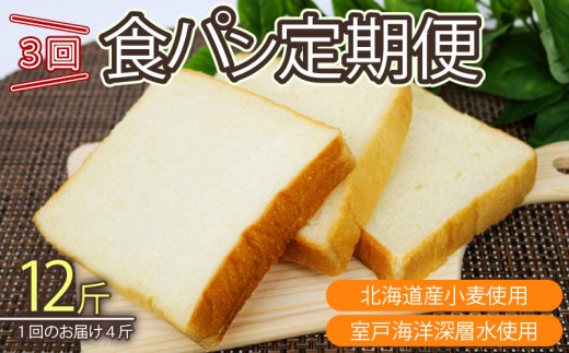 3回定期便 食パンセット【室戸海洋深層水仕込み】 4斤×3回 食パン もちもち ぱん 北海道産小麦使用 朝食 ギフト 定期便 人気 食事パン おやつ 頒布会