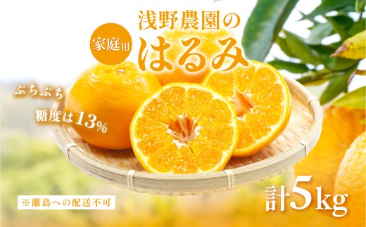 【先行予約】【家庭用】はるみ計5kg※離島への配送不可（2026年2月上旬頃より順次発送予定） 【 ふるさと納税 人気 おすすめ ランキング 柑橘 みかん ミカン フルーツ 果物 愛媛 有名 代表 高級 愛媛 愛媛県産 愛媛みかん 浅野農園 愛媛県 伊方町 送料無料 】IKTAC031