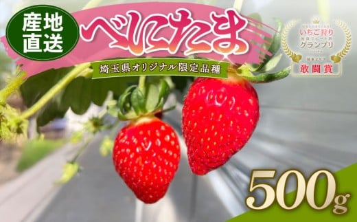 【予約】 べにたま 埼玉限定品種 500g いちご イチゴ 苺 ストロベリー 産地直送 ご当地 果物 くだもの フルーツ デザート 食品 スイーツ 冷蔵 ロコファーム 埼玉県 羽生市