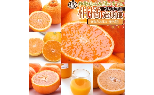 [定期便]厳選 柑橘定期便 S 6回(奇数月)※北海道・沖縄・離島への配送不可※奇数月に発送