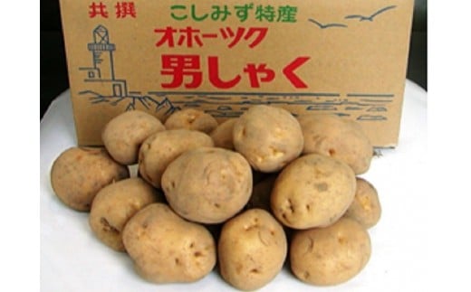 小清水町産男爵　10kg【01002b】