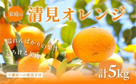 【先行予約】【家庭用】清見オレンジ計5kg ※離島への配送不可（2026年3月上旬頃より順次発送予定） 【 ふるさと納税 人気 おすすめ ランキング みかん 柑橘 ミカン 蜜柑 mikan 果物 フルーツ オレンジ 早生 愛媛県 伊方町 送料無料 】IKTAC007