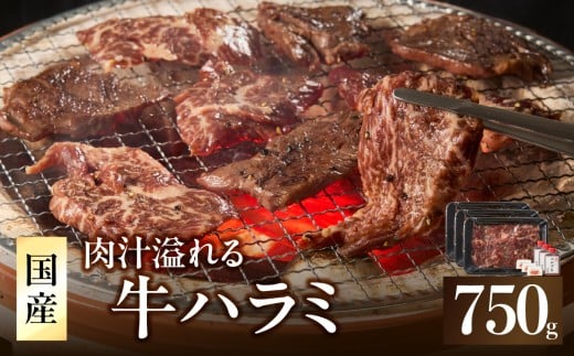「京都人気焼肉店」貴重！肉汁溢れる 国産牛ハラミ 750g ふるさと納税 国産ハラミ 貴重 自家製ダレ 味付き 焼肉 BBQ 冷凍 牛肉 国産 京都府 木津川市  【093-44】 2253832 - 京都府木津川市