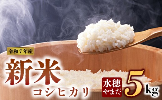 【予約】　新米 令和7年産　コシヒカリ 5kg　水穂やまだ　グランプリ獲得 お米 米 人気 美味しい 弾力 粘り 食感 湧水 熊本 阿蘇 2185419 - 熊本県阿蘇市
