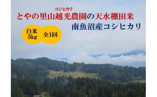 【令和7年産新米予約】とやの里山越光農園「天水棚田米」南魚沼塩沢産コシヒカリ　精米5kgx全1回【2025年12月下旬より順次発送予定】 2212306 - 新潟県南魚沼市