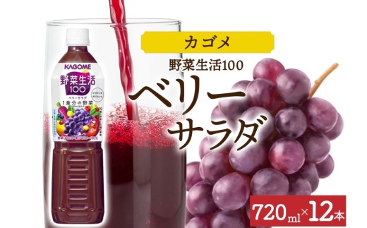 野菜生活100 ベリーサラダ 720mlPET×12 ns038-061-12【ペットボトル 野菜ジュース 野菜生活 飲料 ドリンク 健康 野菜 果実 ミックスジュース 鉄分 ポリフェノール KAGOME カゴメ】 2242949 - 栃木県那須塩原市