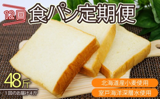 12回定期便 食パンセット【室戸海洋深層水仕込み】 4斤×12回 食パン もちもち ぱん 北海道産小麦使用 朝食 ギフト 定期便 人気 食事パン おやつ 頒布会