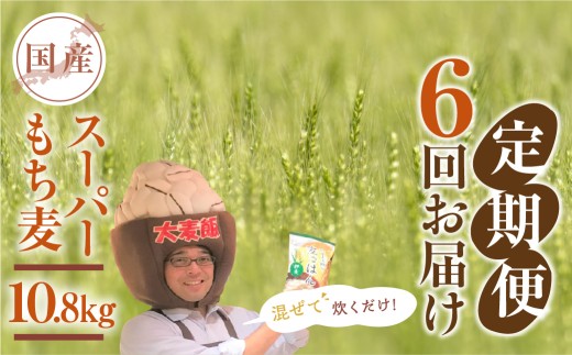 豊橋産スーパーもち麦　定期便 6回（1.8kg×6） 1550977 - 愛知県豊橋市