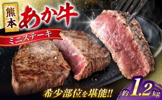 熊本 あか牛 ミニステーキ 約1.2kg（約120g×10枚）【合同会社 たべたせいか】 [AYCB064]
