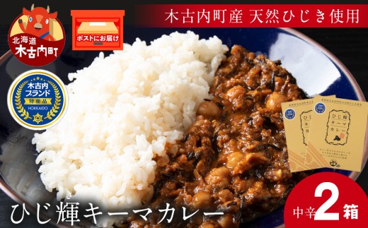 【木古内町産 天然ひじき】ひじ輝キーマカレー　×2箱