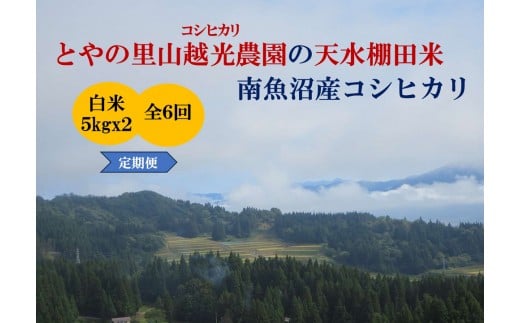 【令和7年産新米予約】【定期便】とやの里山越光農園「天水棚田米」南魚沼塩沢産コシヒカリ　精米10kg(5kgx2)x全6回【2025年12月下旬より順次発送予定】 2212308 - 新潟県南魚沼市