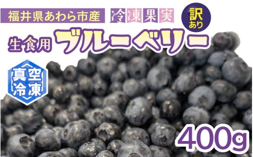 【訳あり】冷凍果実 福井県あわら市産 生食用ブルーベリー 真空冷凍 400g / ブルーベリー 冷凍 国産 目の健康 大粒 抗酸化作用 フルーツ 果物 お取り寄せ [aw007-a008]