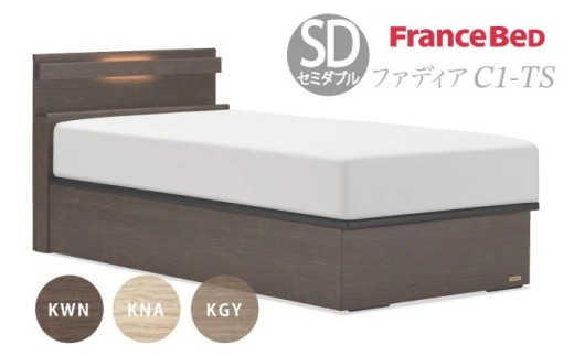 フランスベッド ファディア FAD-C1 TS（縦跳ね上げ収納260mm） 【マットレスセット】 M セミダブル U-94