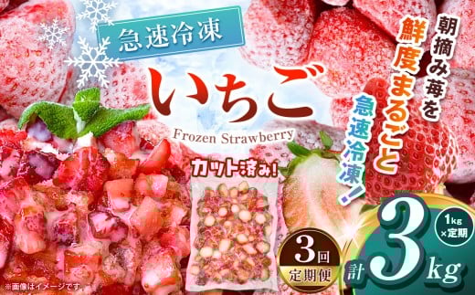 [栃木県共通返礼品][定期便3回]冷凍いちご 1kg | 定期便 いちご とちあいか 冷凍 冷凍イチゴ スイーツ ジャム スムージー たっぷり 大粒 甘い 美味しい 果物 デザート 栃木県 那珂川町 送料無料