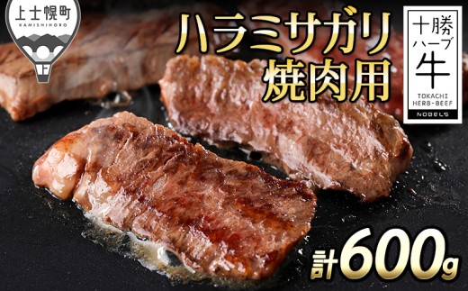 十勝ハーブ牛 国産 ハラミサガリ 焼肉用 計600g 北海道産 牛肉 赤身 国産 キャンプ アウトドア バーベキュー BBQ 旨味を逃さないスキンパック包装 ［038-H70］ ※オンライン申請対応